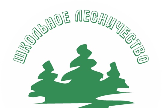 Школьные лесничества..